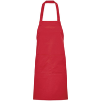 Заказать Фартук Gamma, красный